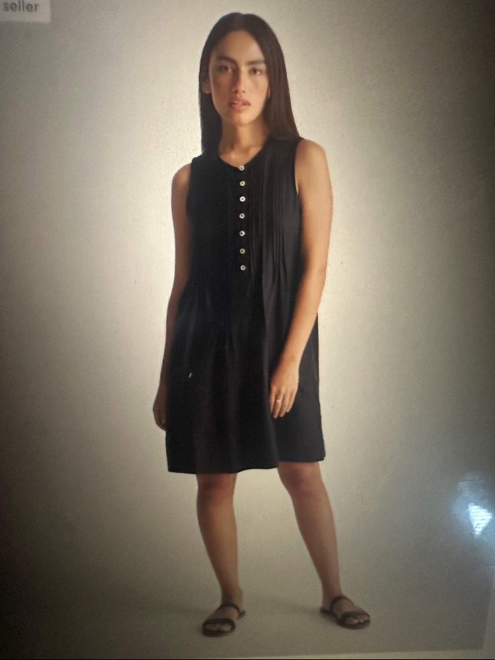 Quince Black 100% European Linen Sleeveless Swing Dress, size Large